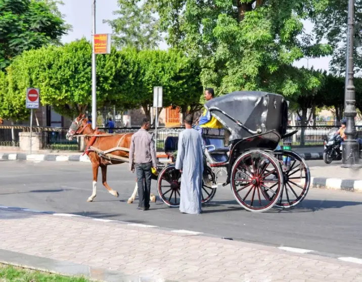 Aswan City Tour by Horse Carriage – Explore Aswan’s Charm